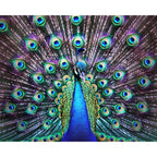 Der Pfau in voller Pracht - Diamond Painting