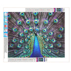 Der Pfau in voller Pracht - Diamond Painting
