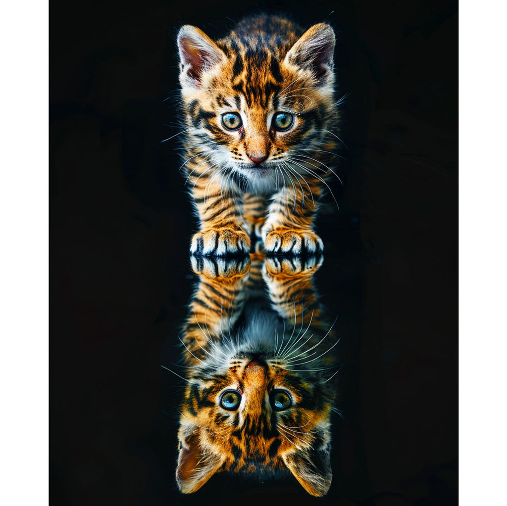 Die niedliche Spiegelung - Diamond Painting