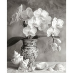 Elegante Orchideen in antiker Vase - Diamond Painting