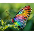 Farbenfroher Schmetterling auf Blatt - Diamond Painting