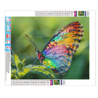 Farbenfroher Schmetterling auf Blatt - Diamond Painting