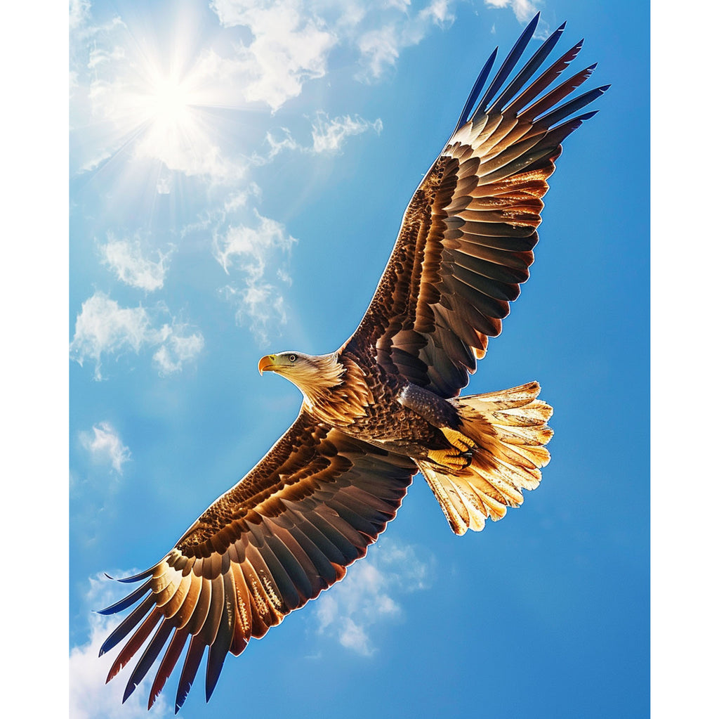 Flügelschlag des Adlers am Himmel - Diamond Painting