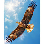 Flügelschlag des Adlers am Himmel - Diamond Painting