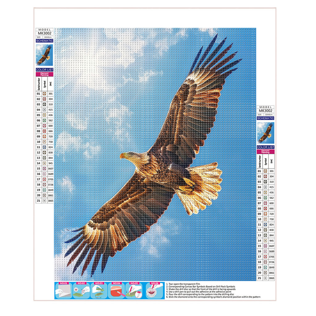 Flügelschlag des Adlers am Himmel - Diamond Painting