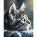 Katze im sanften Licht - Diamond Painting