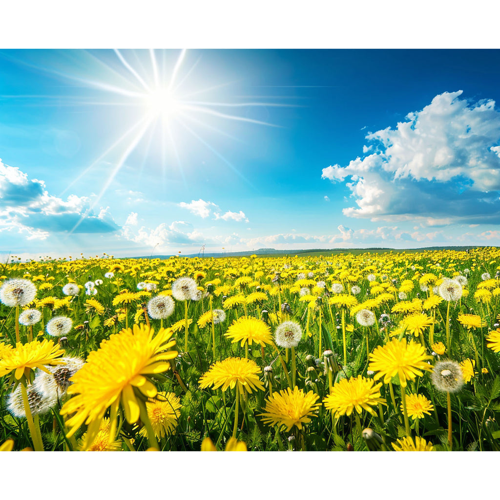 Sonnenblumenhorizont - Diamond Painting