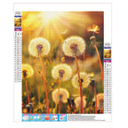 Sonnengeküsste Pusteblumen - Diamond Painting