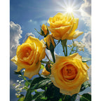 Sonnige Rosenwolke - Diamond Painting