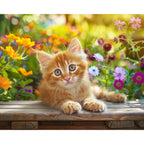 Sonniges Katzchen im Blumenmeer - Diamond Painting