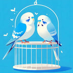 Vogelpaar im Käfig - Diamond Painting