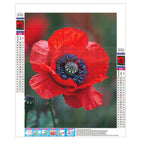 Zarte Mohnschönheit - Diamond Painting