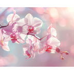 Zarte Orchideenblüten - Diamond Painting
