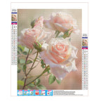 Zarte Rosenschönheit - Diamond Painting
